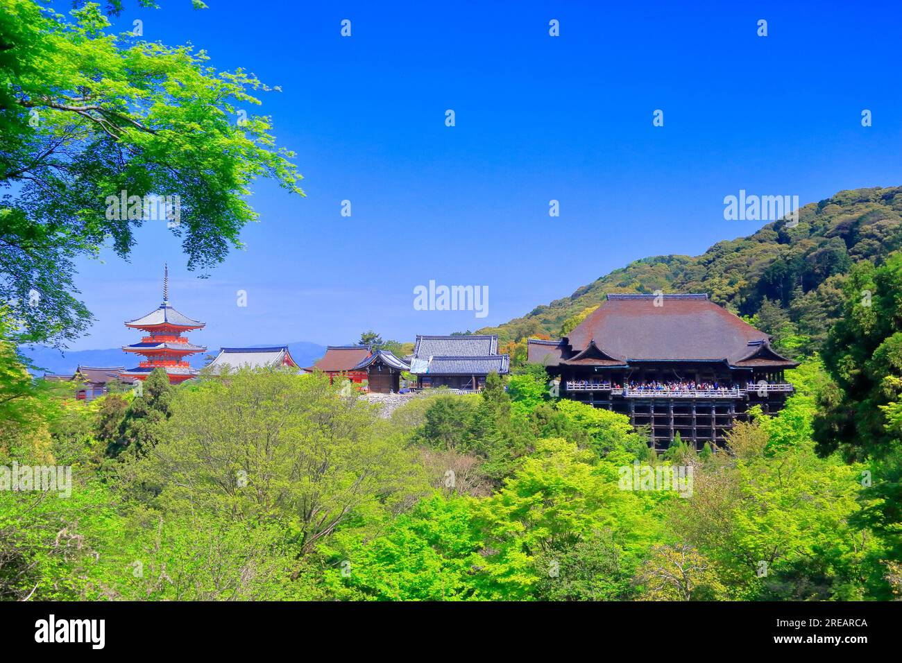 Kiyomizudera in tender green Stock Photo Alamy