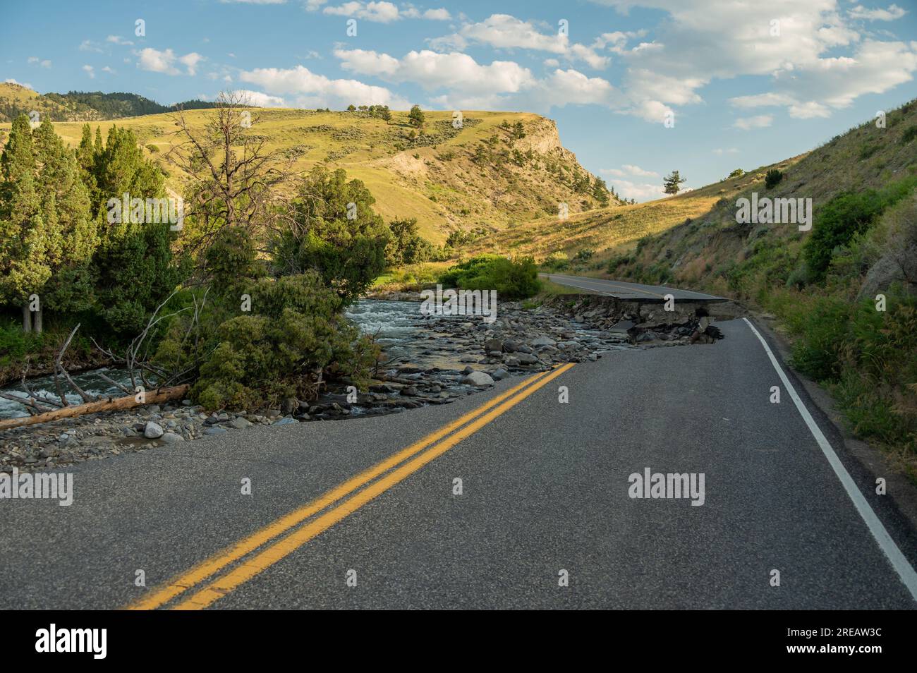 YYHHAOFA Yellowstone Baseball Cap - Cowboy Mütze Aus Denim Für Erwachsene
