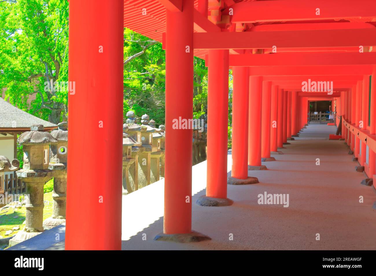 Kasuga-taisha Shrine in spring Stock Photo