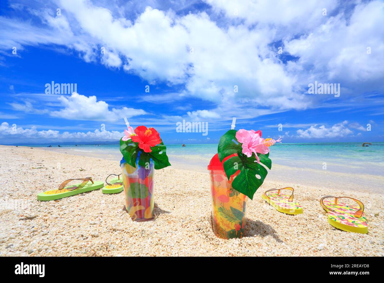 Image of a Beach in Okinawa Stock Photo