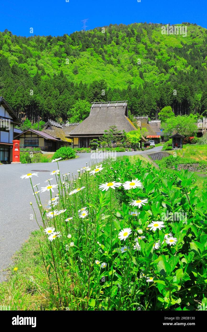 Miyama Kayabuki-no-Sato in Fresh Green Stock Photo