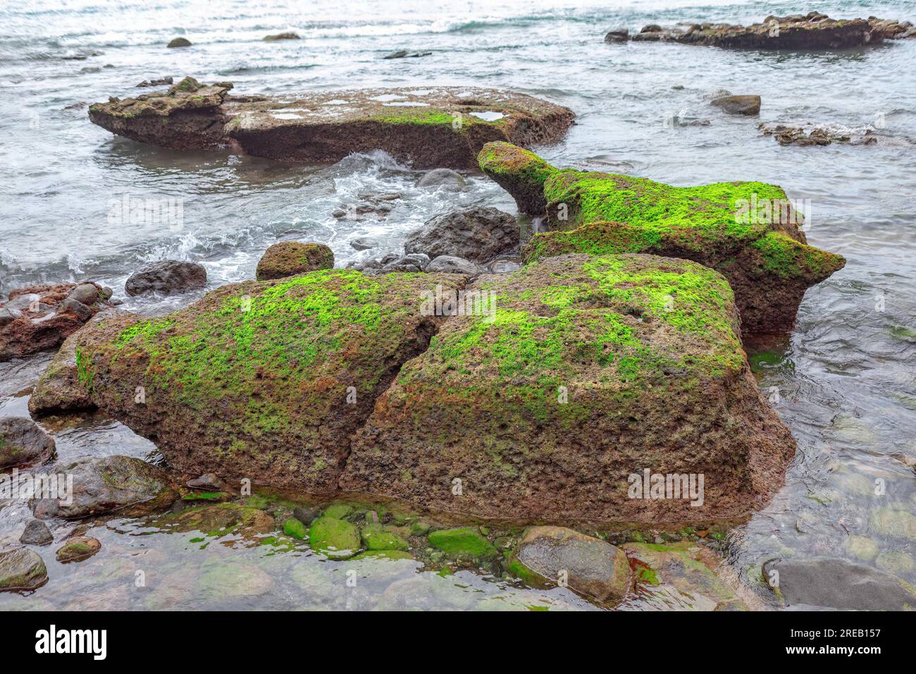 Moss covered rocks in sea hi-res stock photography and images - Alamy