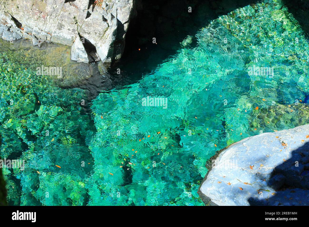 Inugaeri no fuchi hi-res stock photography and images - Alamy