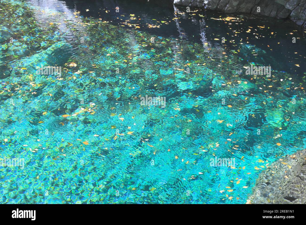 Inugaeri no fuchi hi-res stock photography and images - Alamy