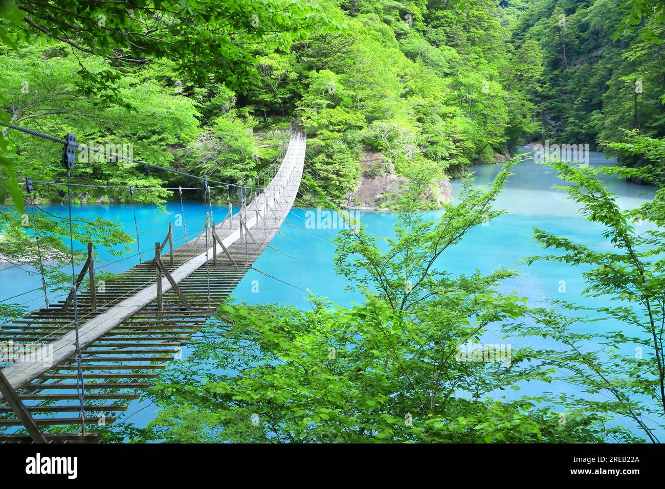 Dream Suspension Bridge in Sunmatakyo Stock Photo Alamy