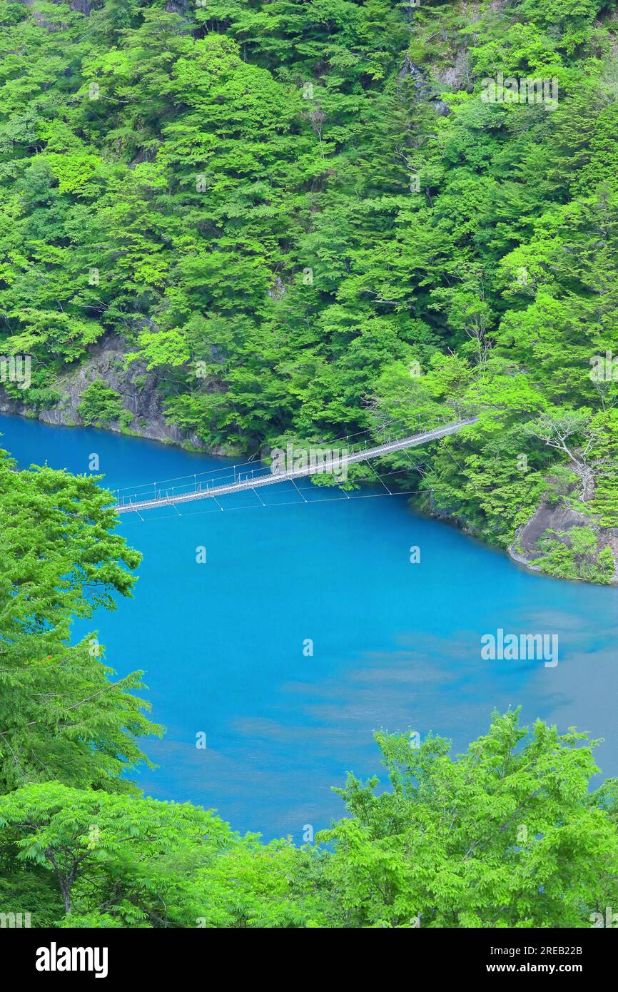 Dream Suspension Bridge in Sunmatakyo Stock Photo Alamy