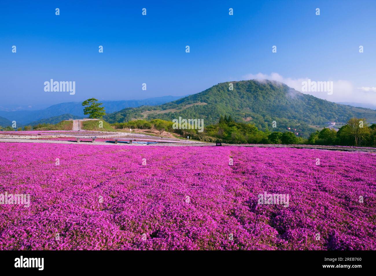 Chausuyama hi-res stock photography and images - Alamy