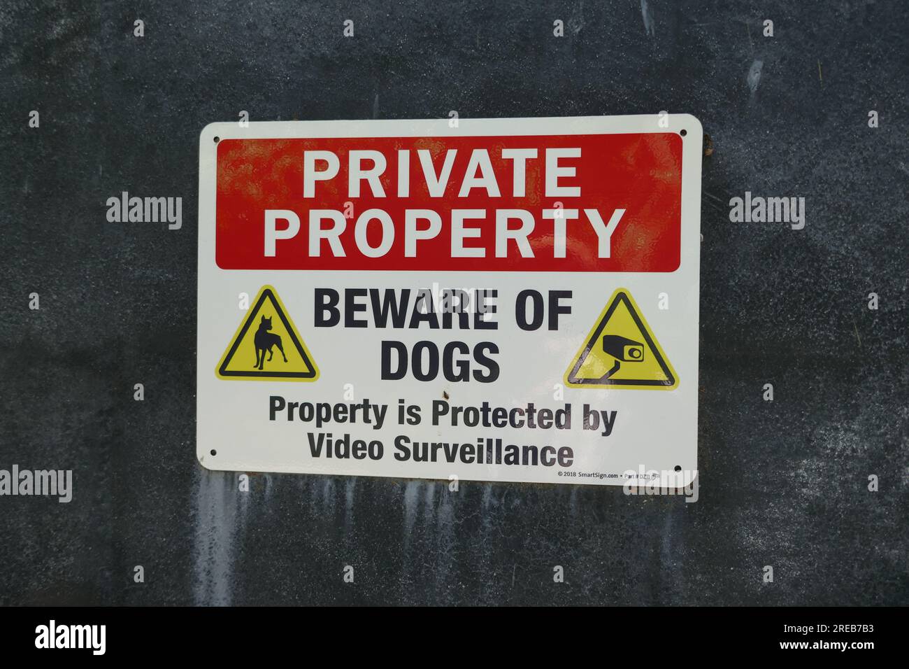 Los Angeles, California, USA 26th July 2023 Oriole Drive in the Bird