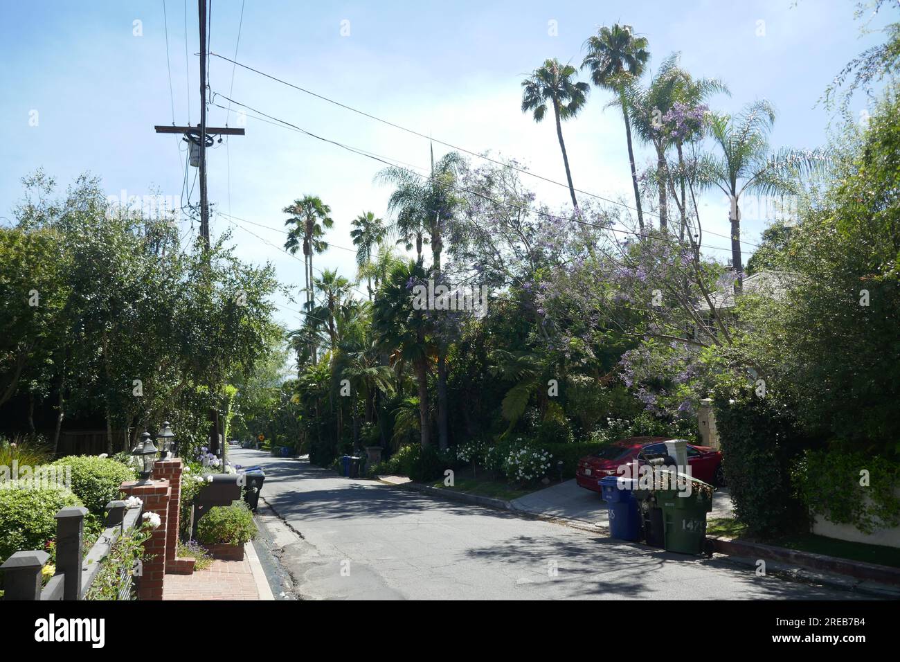 Los Angeles, California, USA 26th July 2023 Oriole Drive in the Bird