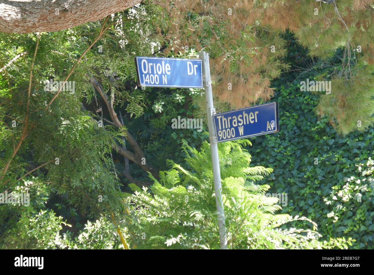 Los Angeles, California, USA 26th July 2023 Oriole Drive and Thrasher