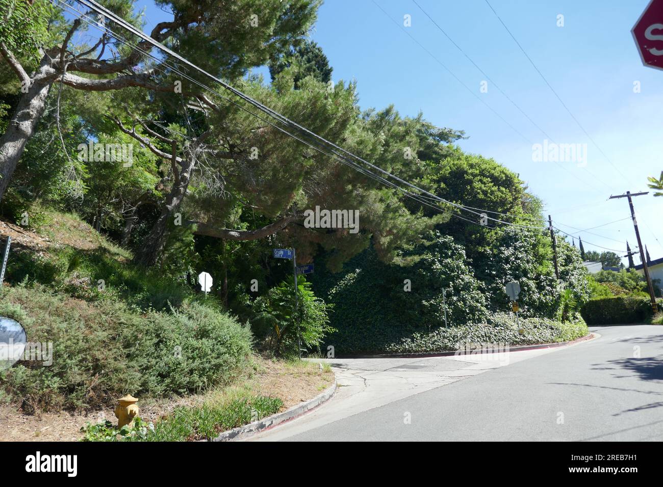 Los Angeles, California, USA 26th July 2023 Oriole Drive in the Bird