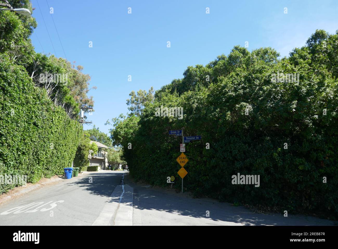 Los Angeles, California, USA 26th July 2023 Oriole Drive and Thrasher