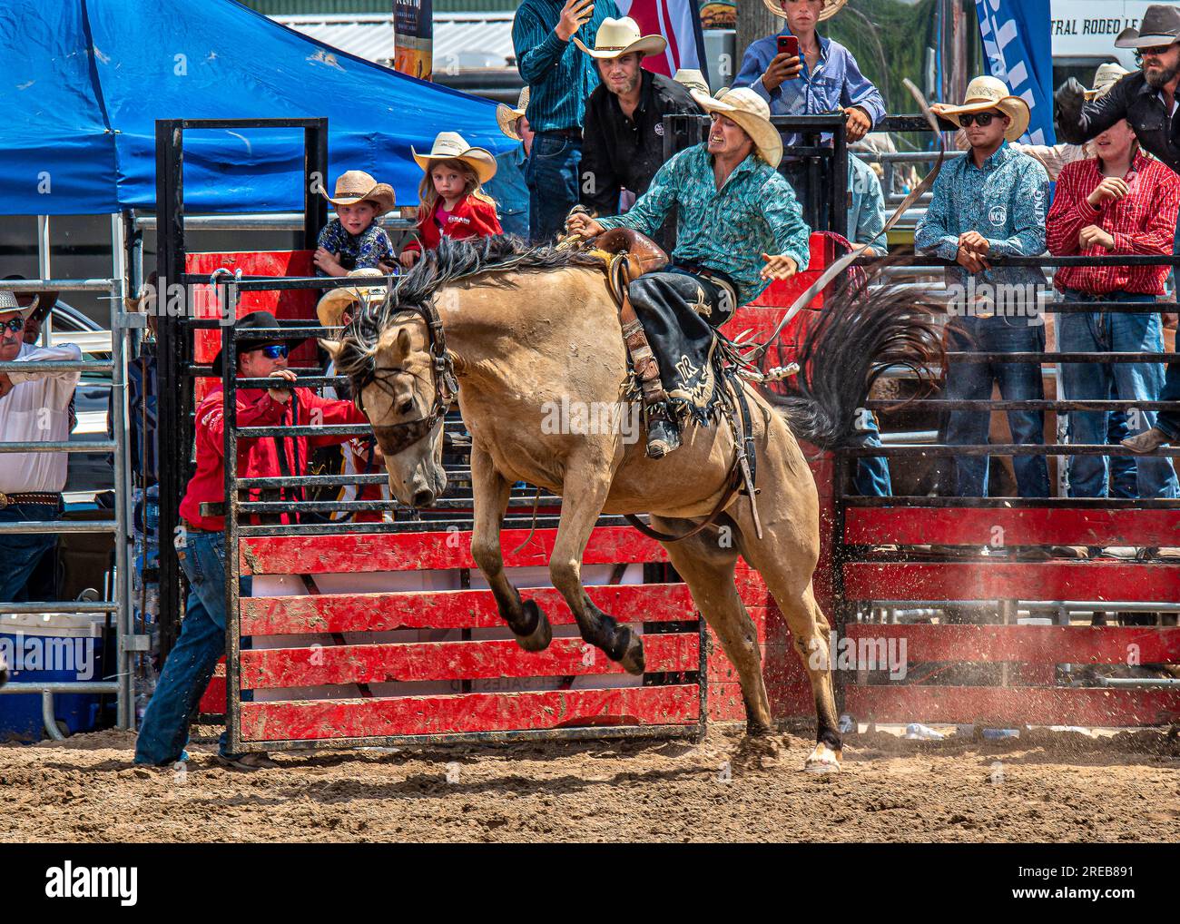 Erin ram rodeo july 22 23 hi-res stock photography and images - Alamy