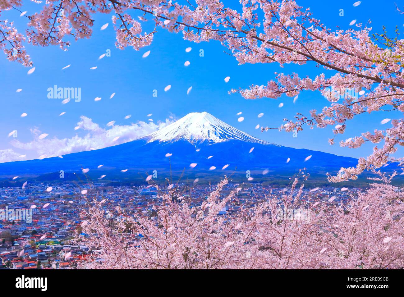 Cherry blossoms japan home hi-res stock photography and images - Alamy