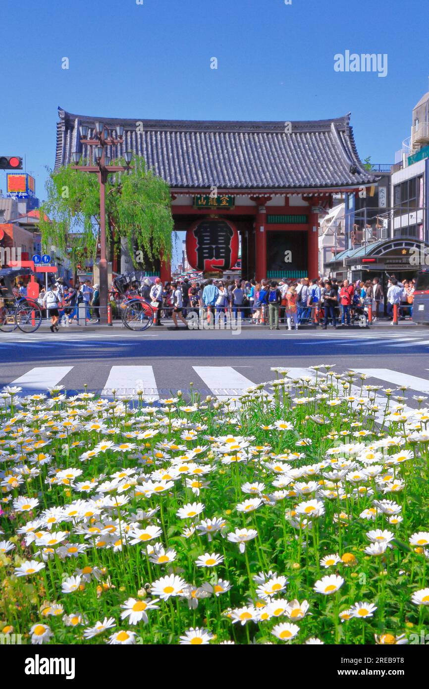 Thunder Gate of Sensoji Temple Stock Photo