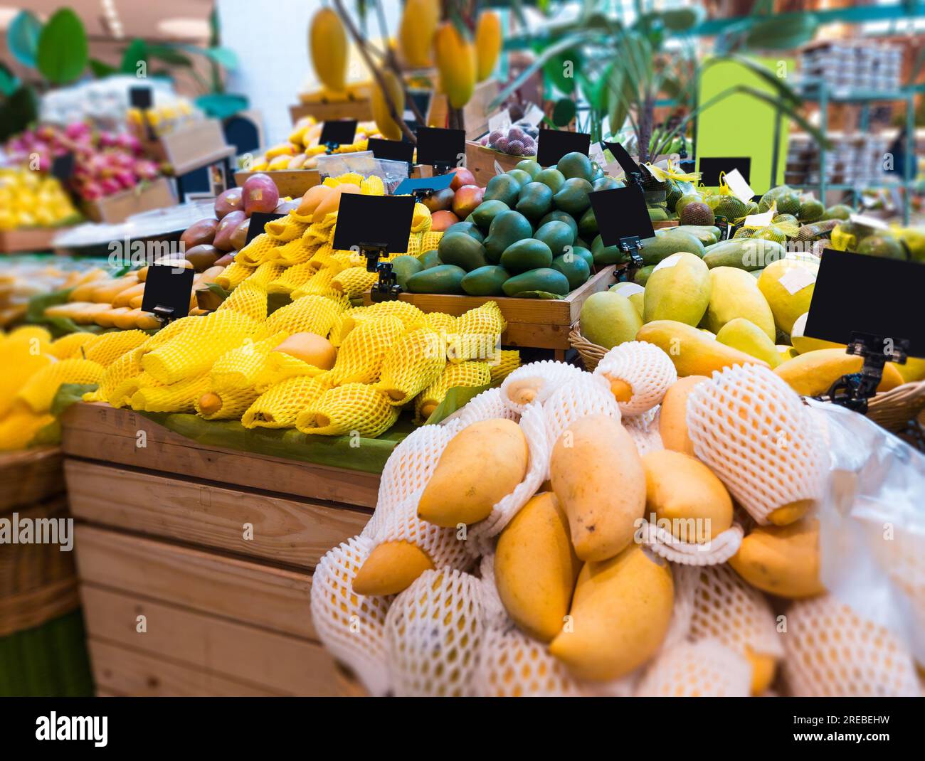 Various of fresh fruit mangoes on shelf in modern supermarket Stock