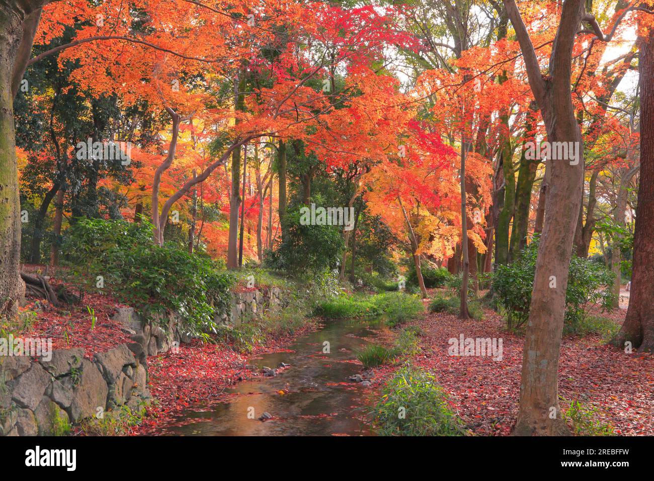 Shimogamo temple hi-res stock photography and images - Alamy