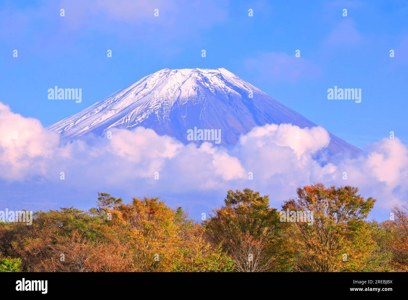 Japan bus fuji hi-res stock photography and images - Alamy