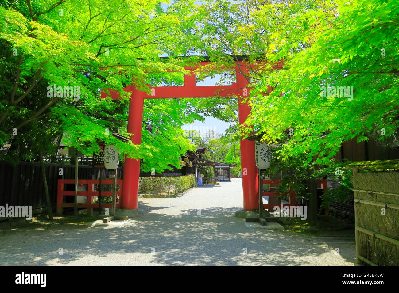 Shimogamo Shrine in fresh green Stock Photo - Alamy