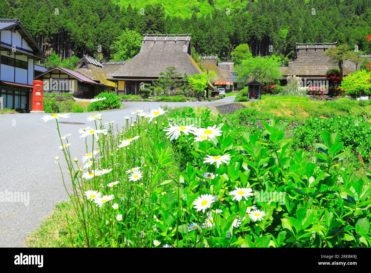 Miyama Kayabuki-no-Sato in Fresh Green Stock Photo