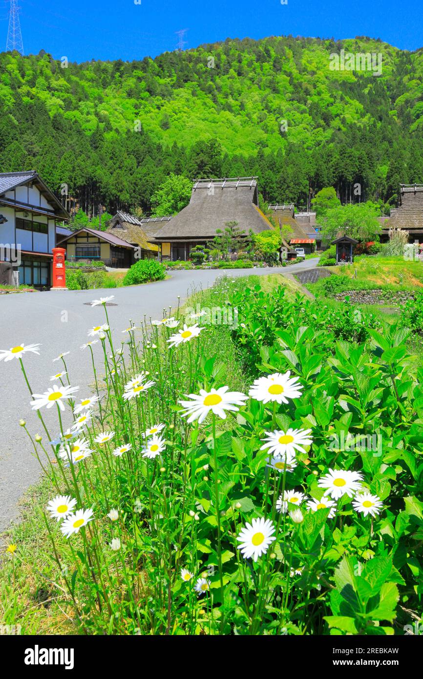 Miyama Kayabuki-no-Sato in Fresh Green Stock Photo