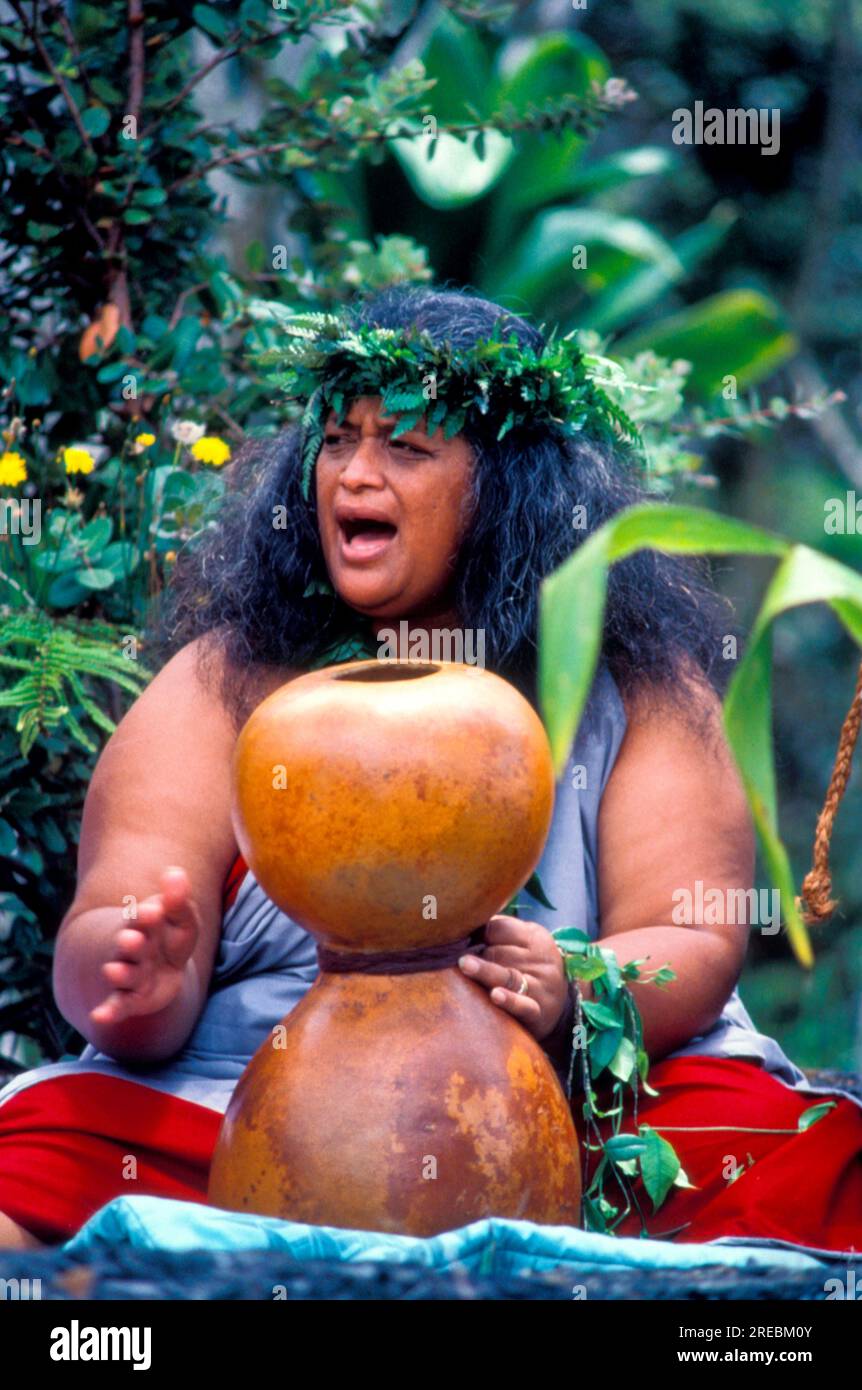 Kumu hula chanting with an ipu heke ( gourd ) at a Hawaiian ceremony ...