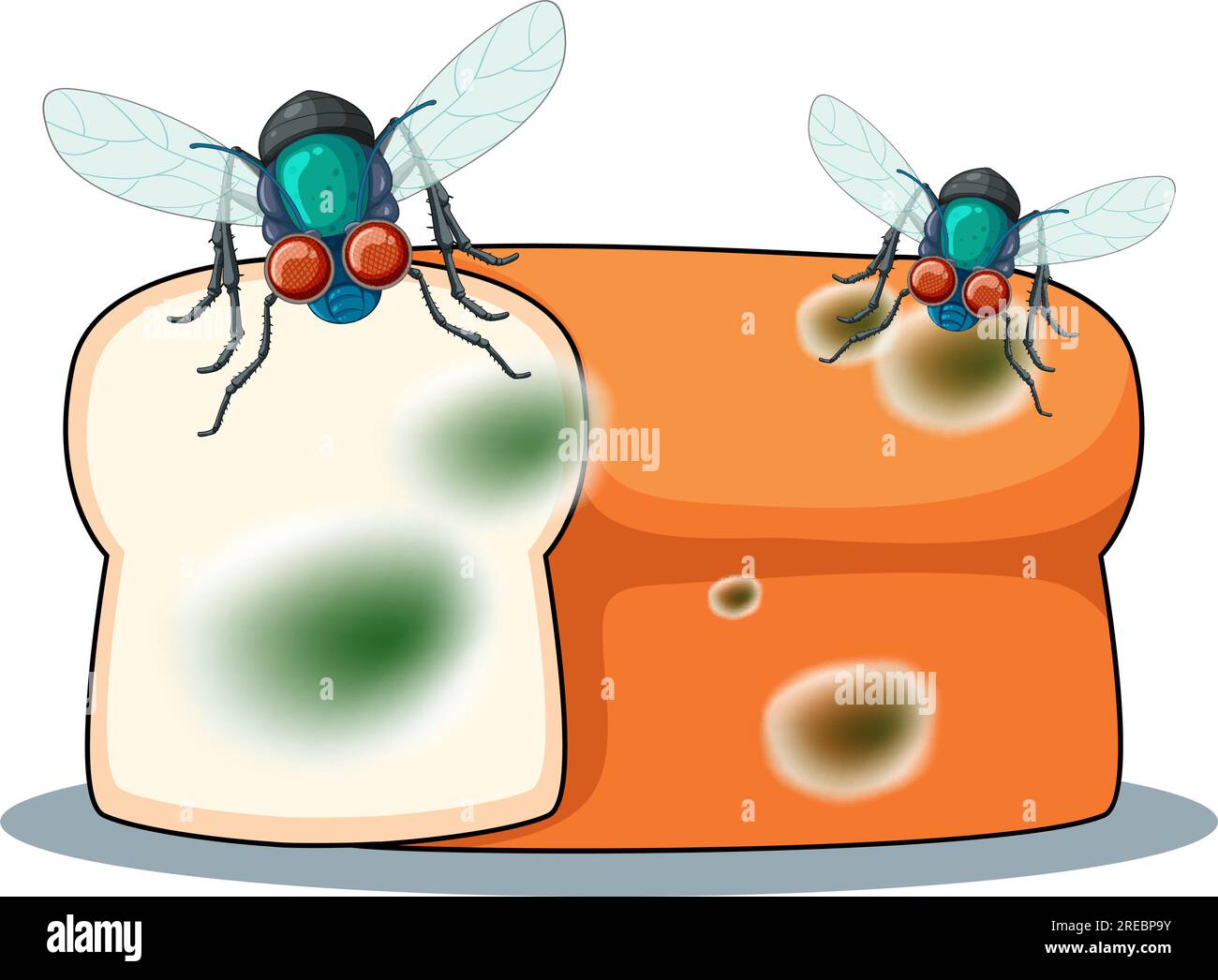 bread with fly illustration Stock Vector Image & Art Alamy