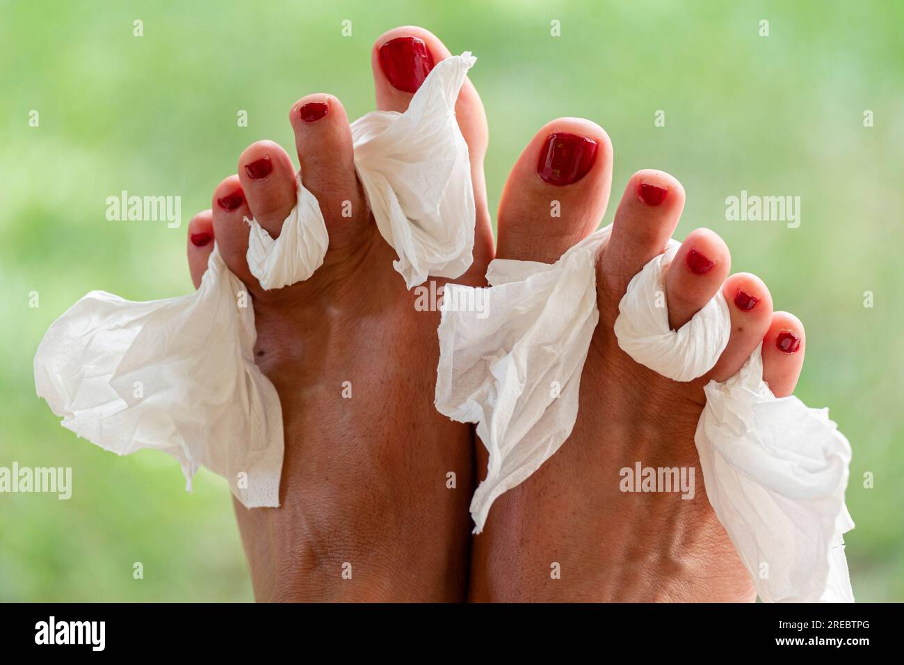 painted toenails with fingers separated by paper, Mallorca, Balearic Islands, Spain Stock Photo