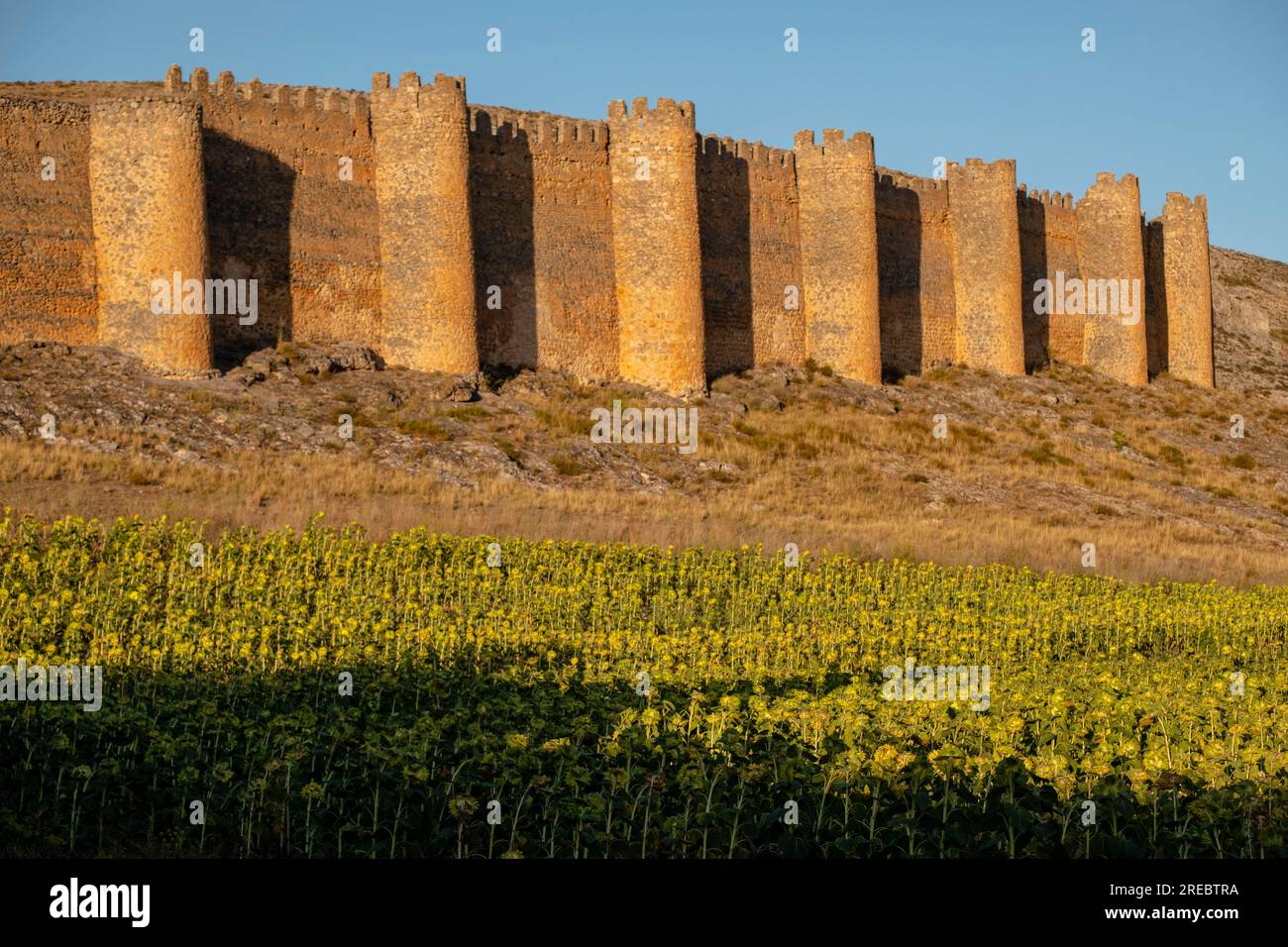 old fence, X-XII centuries, 15th century castle, Berlanga de Duero, Soria,  autonomous community of Castilla y León, Spain, Europe Stock Photo