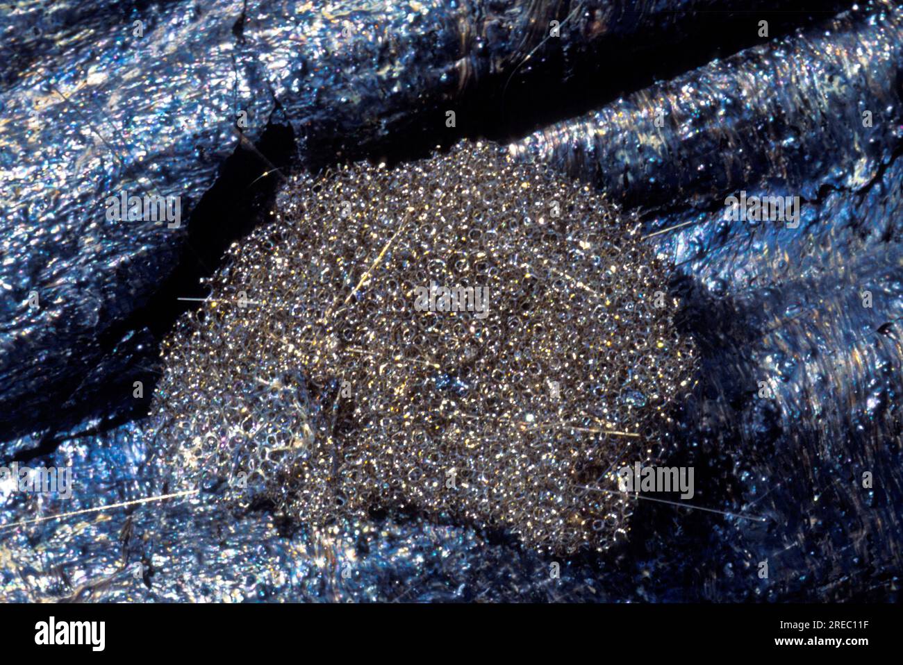 Volcanic glass peles hair hires stock photography and images Alamy