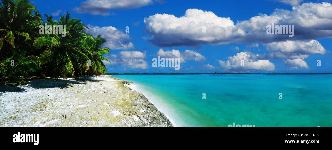 Tropical landscape, beach with palm trees and crystal clear sea Stock Photo