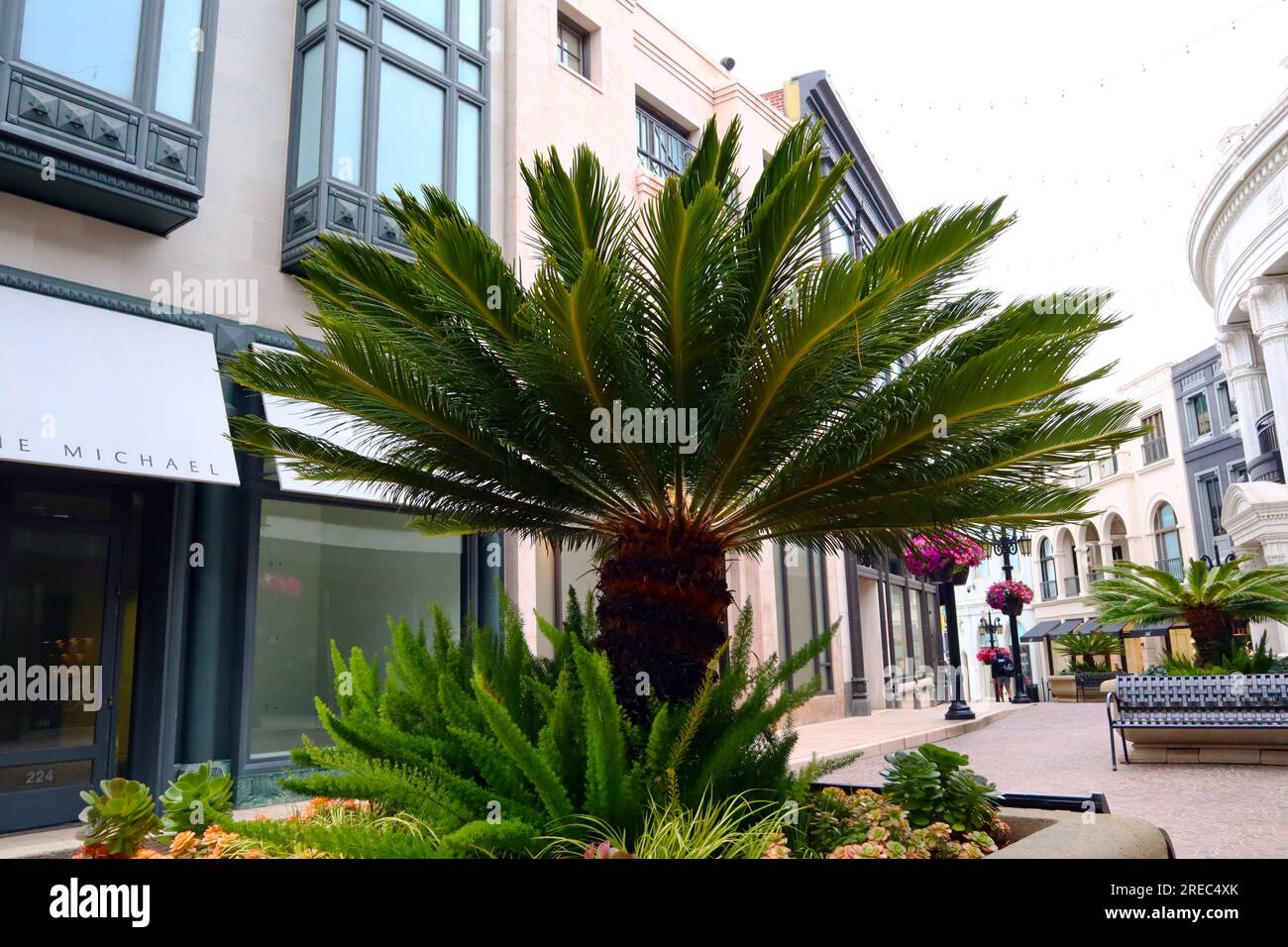 Two rodeo drive hi-res stock photography and images - Alamy