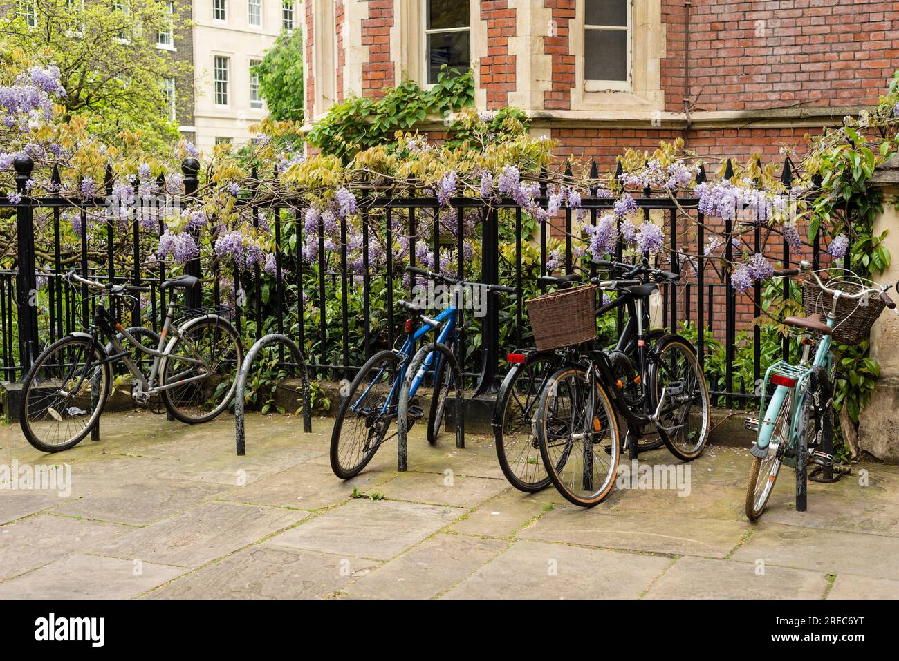 Bicycles parked along Wrought iron railings, Inns of Court, London, UK Stock Photo