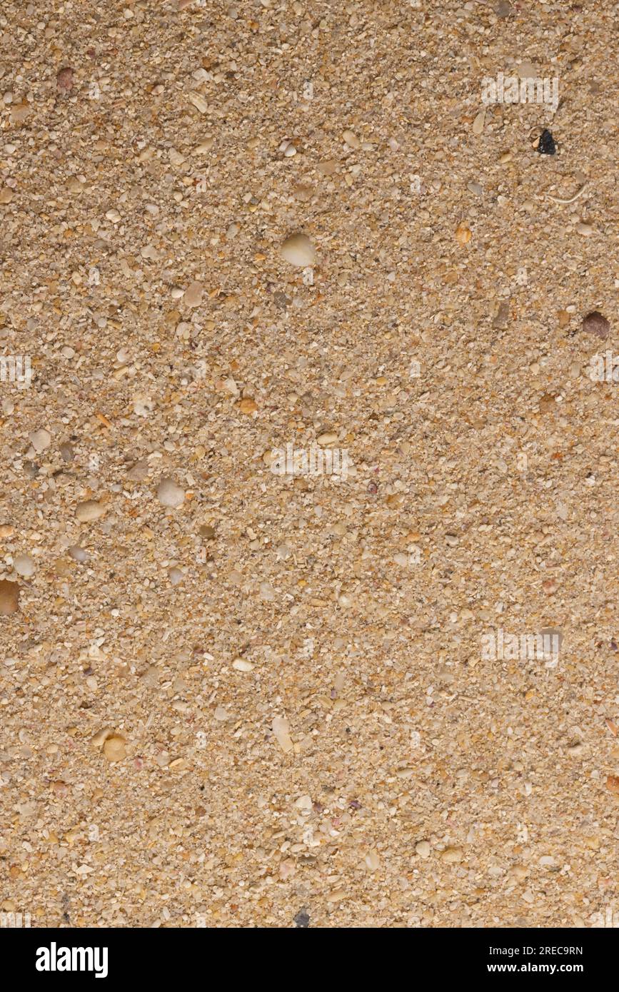 Close up of sand grains and copy space background Stock Photo - Alamy