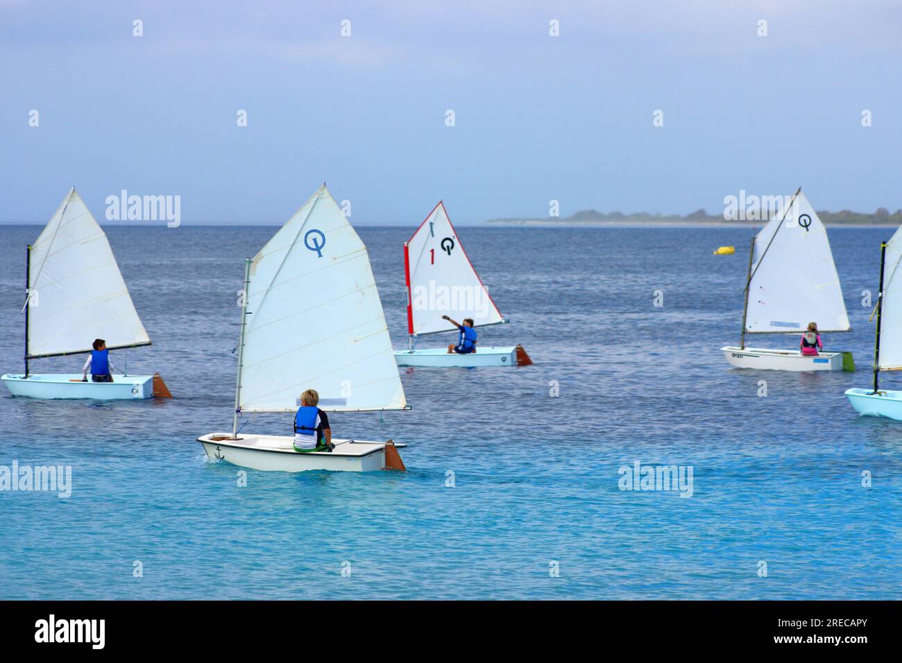 Kids sailing dinghy optimist boat regatta competition sport Caribbean Stock  Photo - Alamy
