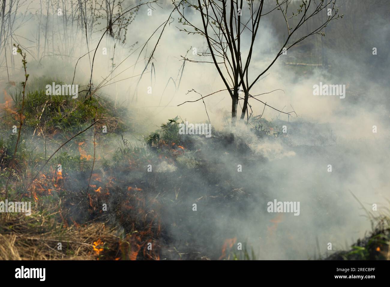 Black smoke from fire. Burning of garbage. Destruction of nature. Environmental disaster. Fire