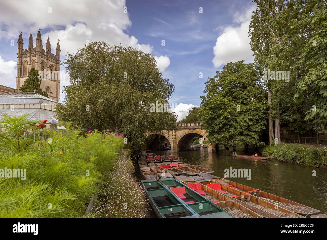 Tourists punting in river Cherwell next to Oxford botanic gardens and Magdalen Bridge , Oxfordshire, England Stock Photo