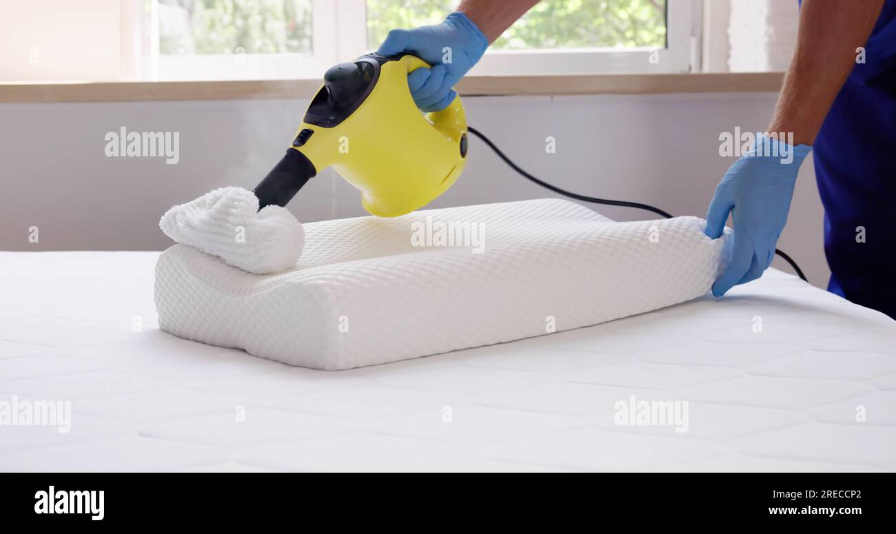 Bed Bug Pillow Pest Control Cleaning Using Steam Machine Stock Photo