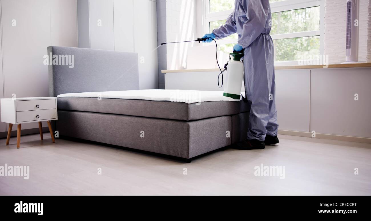 Pest Control Service. Bug Bed Treatment By Exterminator Stock Photo - Alamy