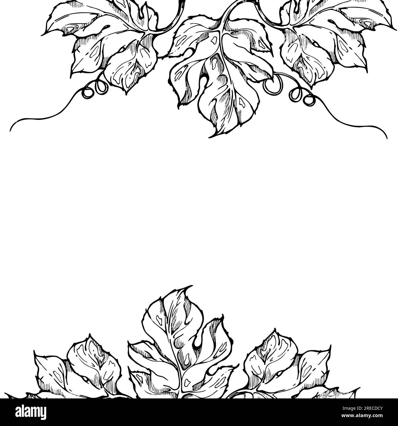 Hand drawn ink vector pumpkin leaf, vine, flower. Sketch illustration