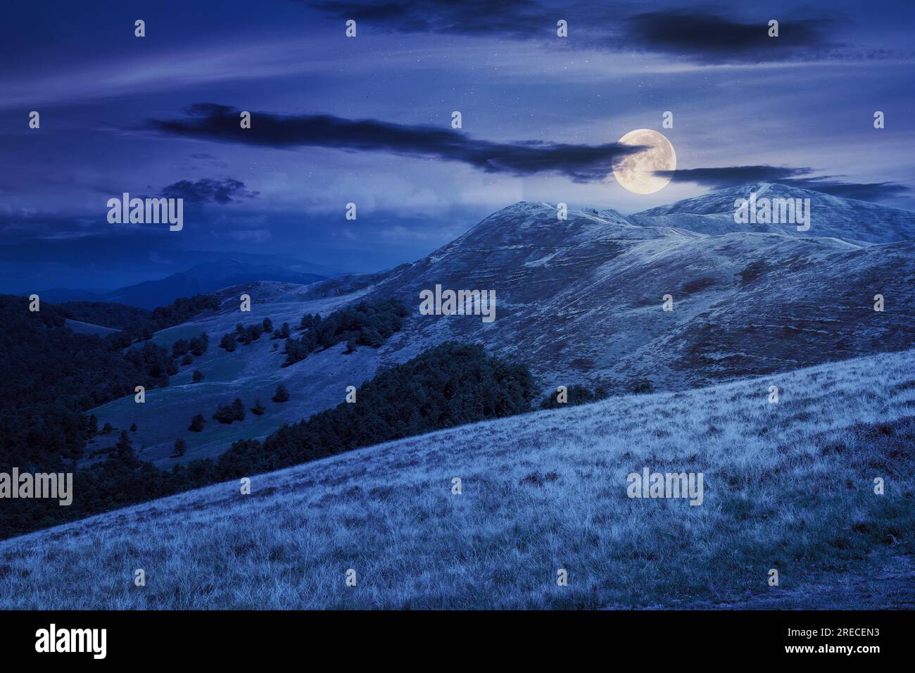 mountainous landscape with grassy meadows at night. carpathian nature scenery beneath a sky with clouds in full corn moon light Stock Photo
