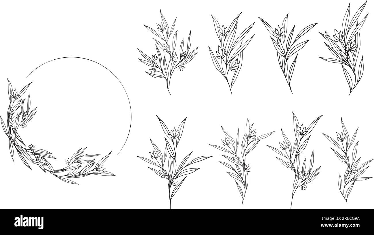 Vector botanical frame with flowers and separate elements to create it ...
