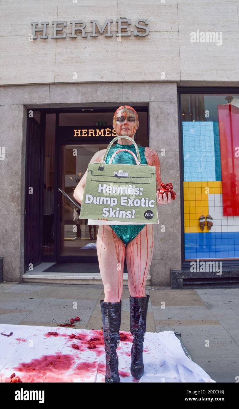 Hermes peta store