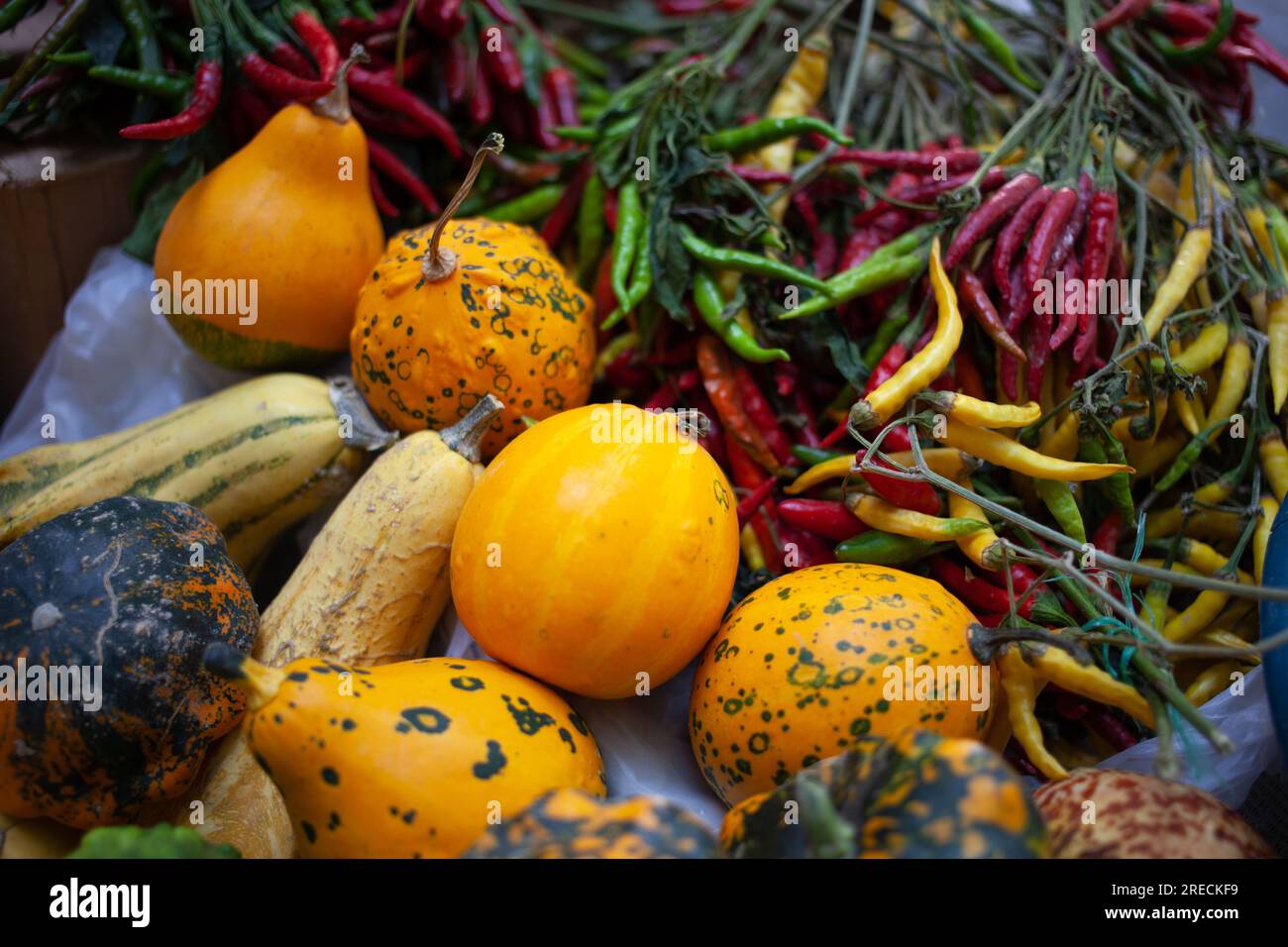 Pumpkins and pepper on a farmers market. Still life with colorful vegetables Stock Photo