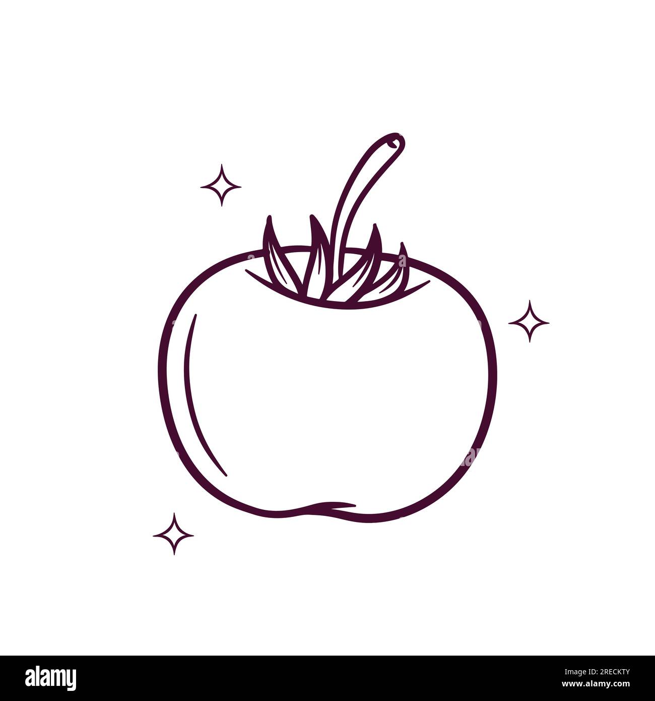 Hand Drawn Tomatoes. Doodle Vector Sketch Illustration Stock Vector