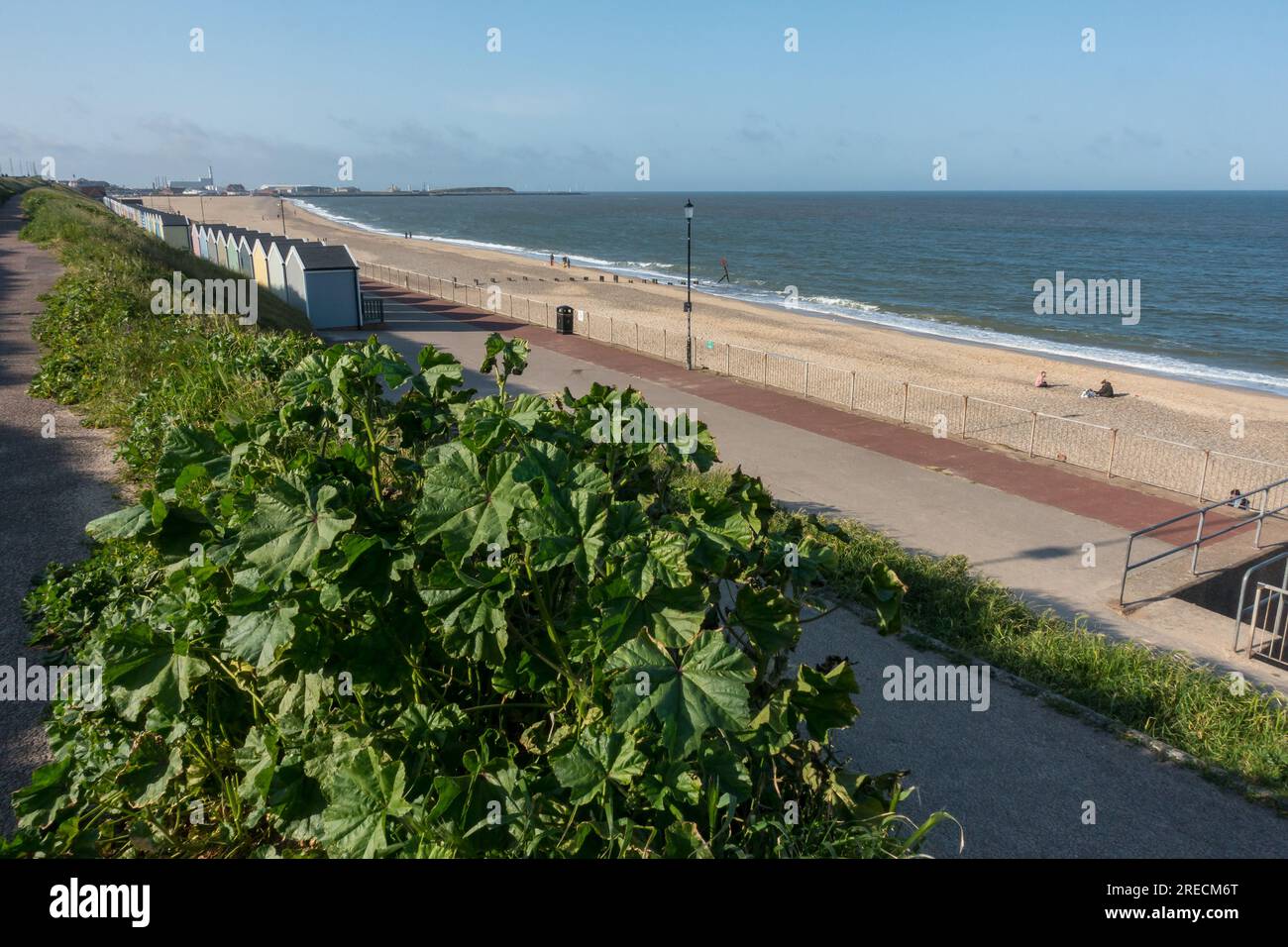 The golden sands of Gorleston, Norfolk attract hordes of summer holiday