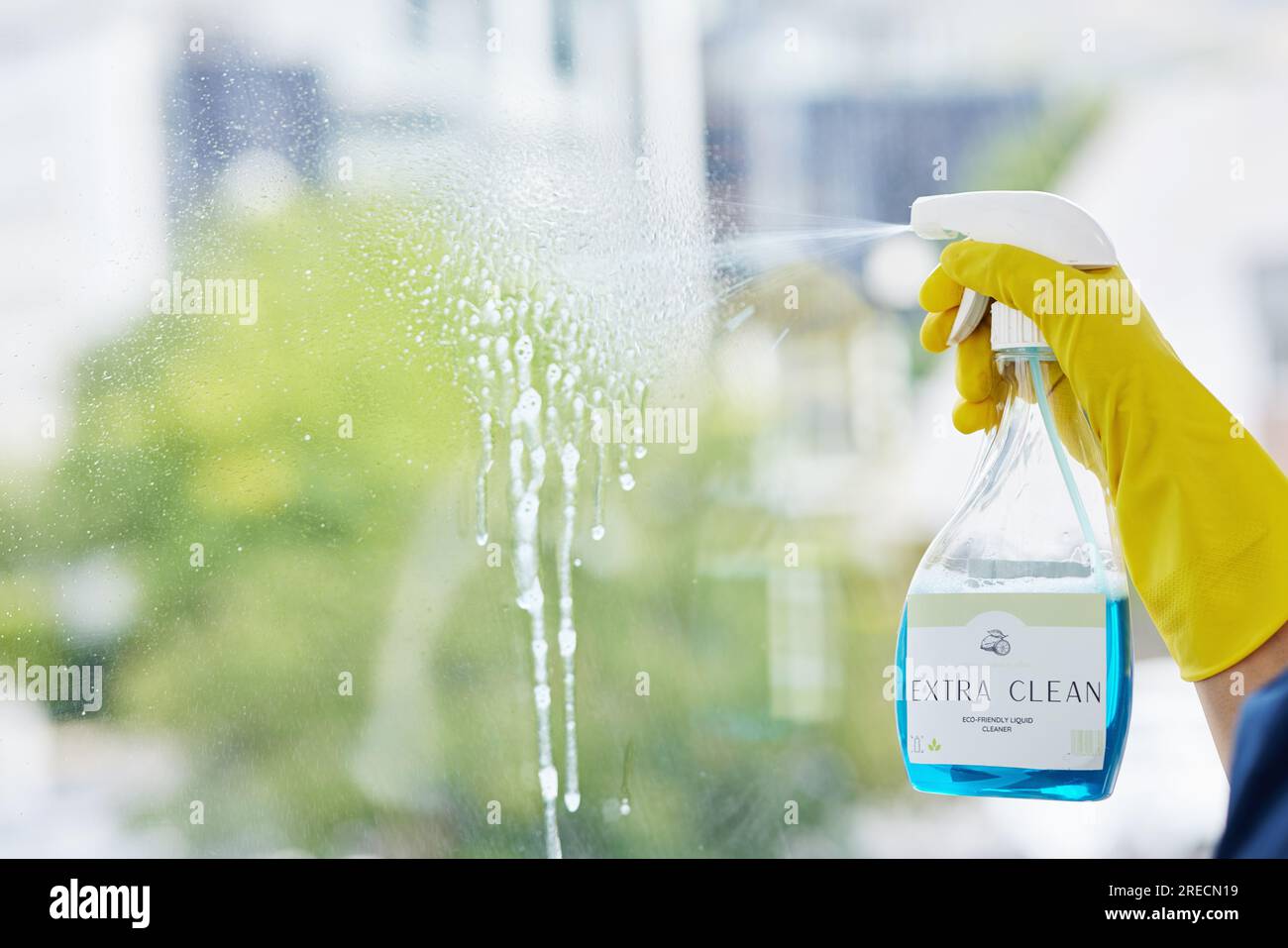 Hands, cleaning spray and bottle at windows for hygiene of bacteria