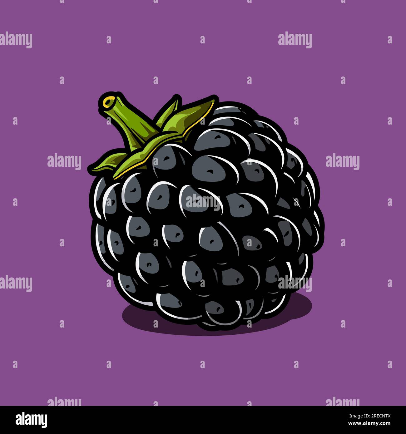 Blackberry handdrawn comic illustration. Blackberry. Vector doodle