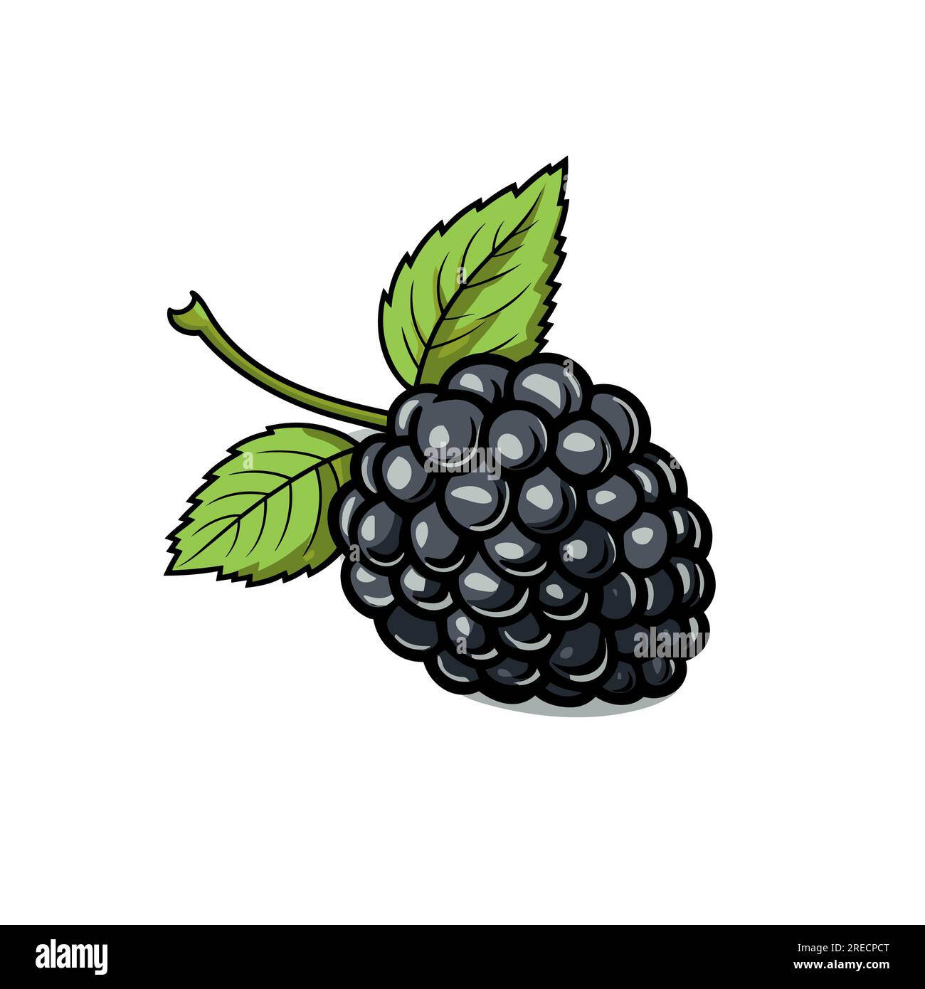Blackberry handdrawn comic illustration. Blackberry. Vector doodle