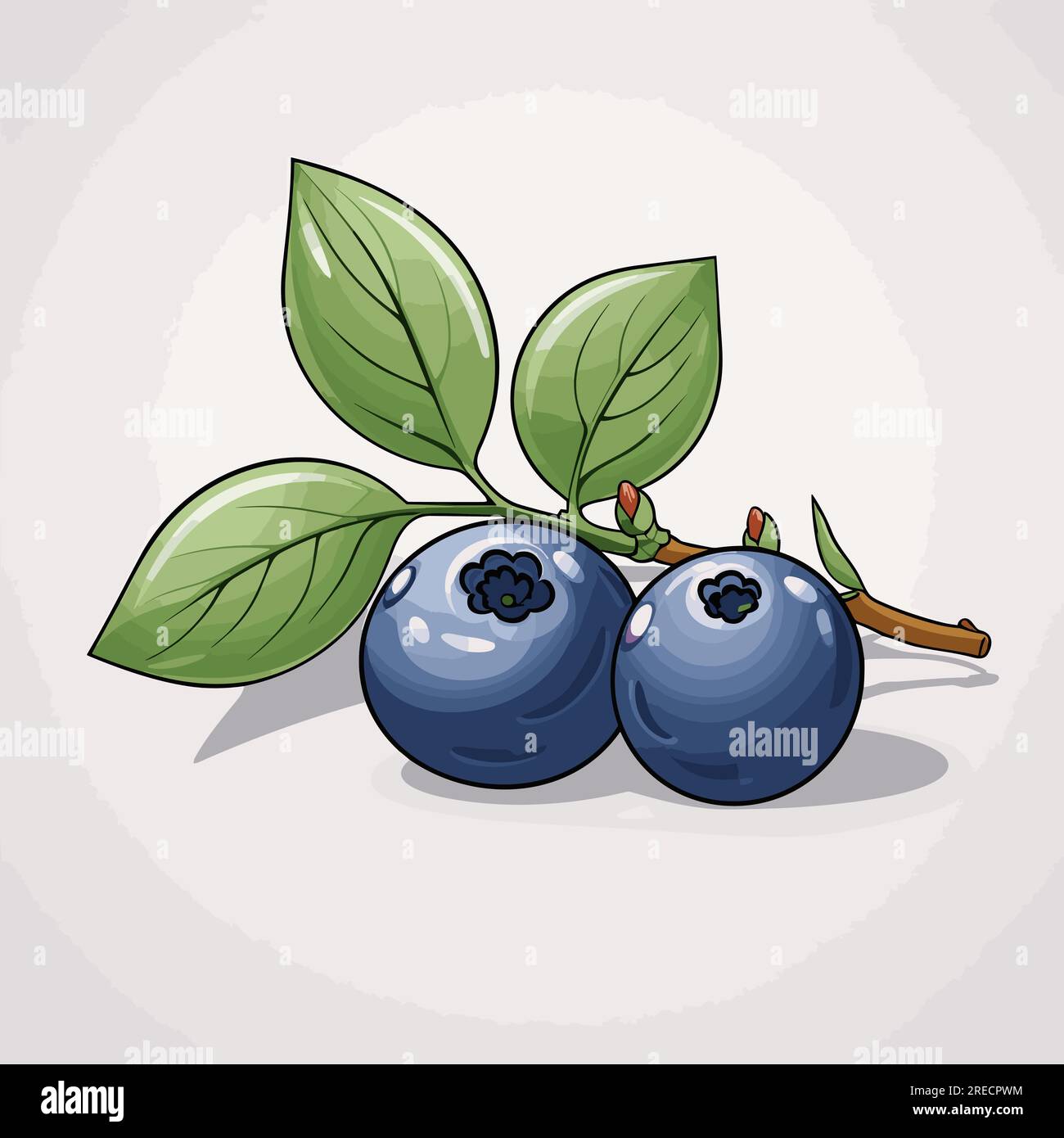 Blueberry handdrawn comic illustration. Blueberry. Vector doodle style